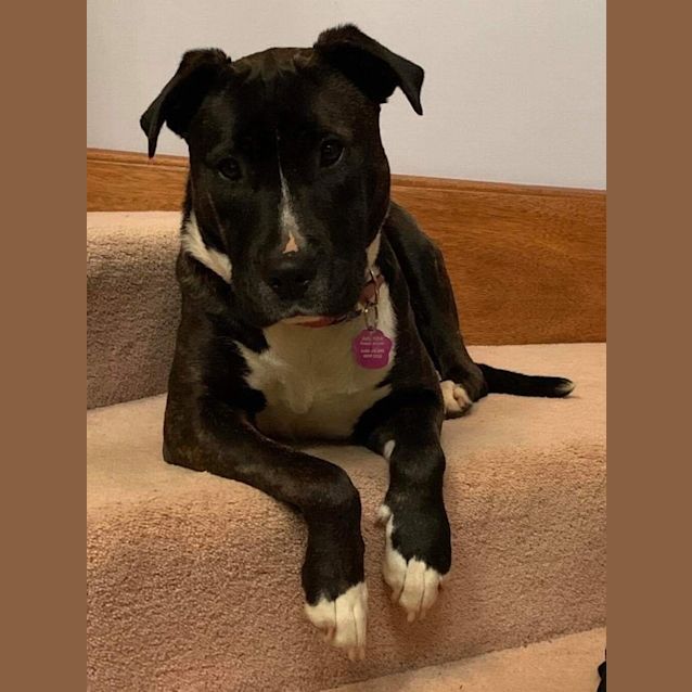 Photo of Lexi