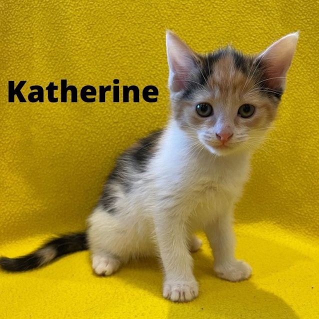 Photo of Katherine 