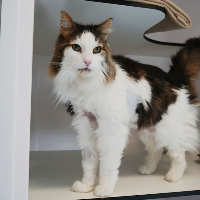 Photo of Patrick Rsua001421