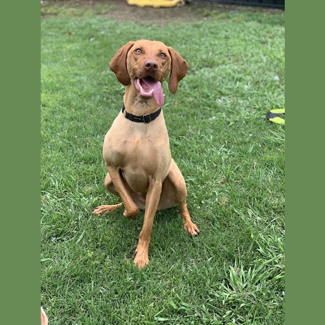 Photo of Rubie