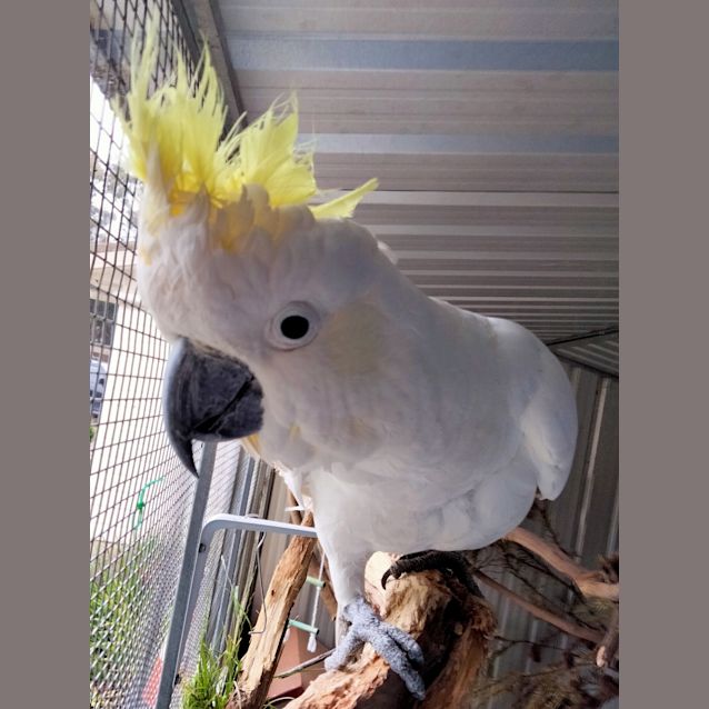 Photo of Ben