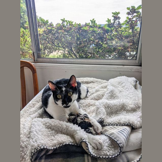 Photo of Audrey Heppurr (On Trial 16/12/21)