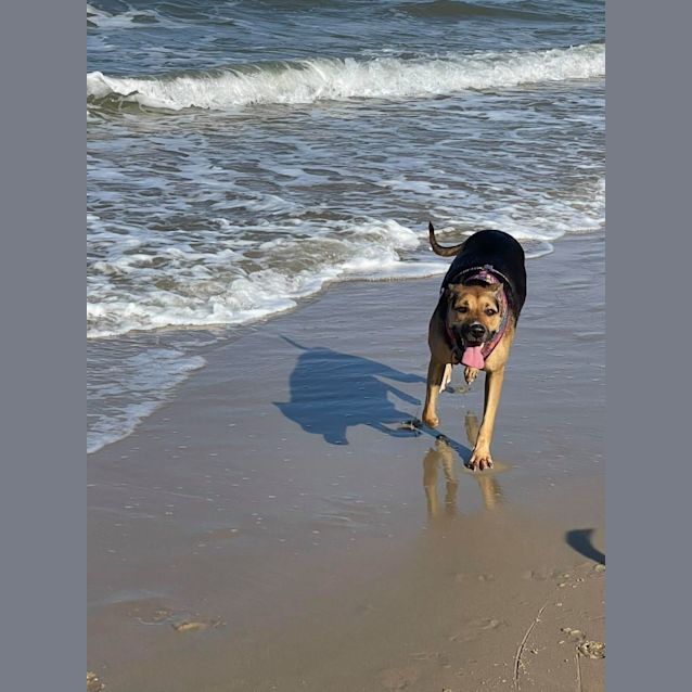 Photo of Ayla