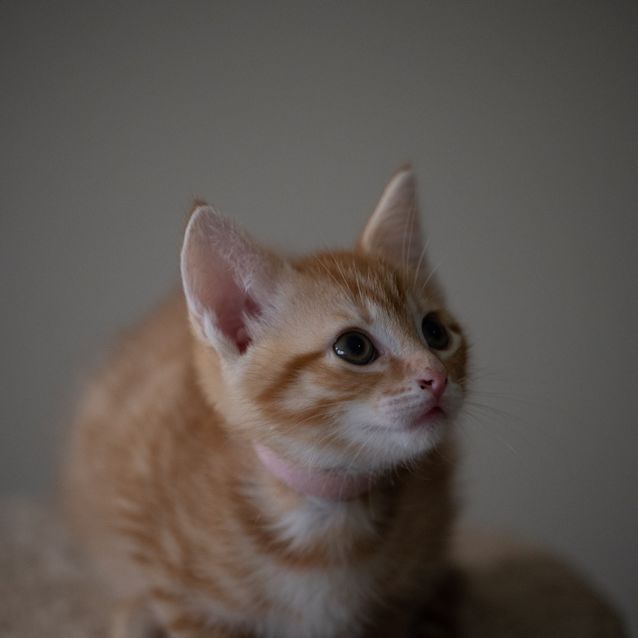 Photo of Arielle