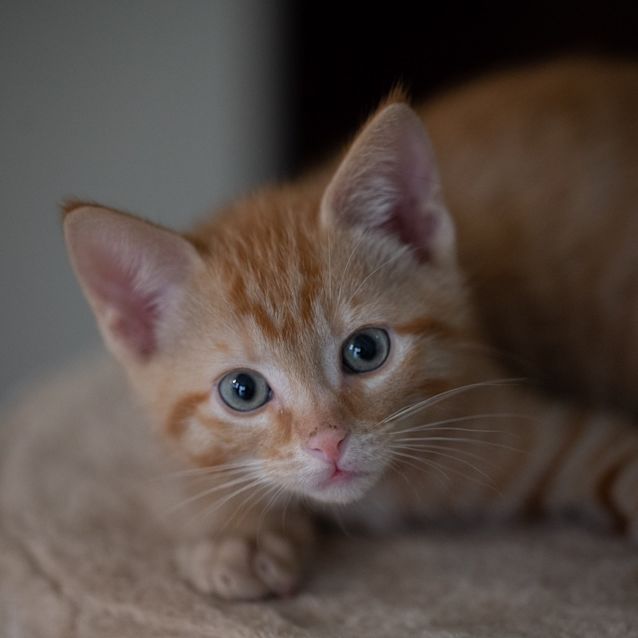 Photo of Elijah