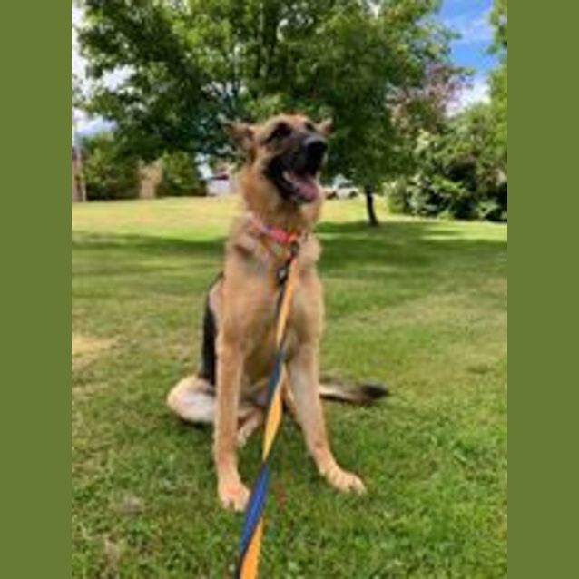 Photo of Lilly