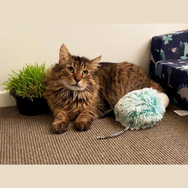 Photo of Geronimo & Koby ❤❤