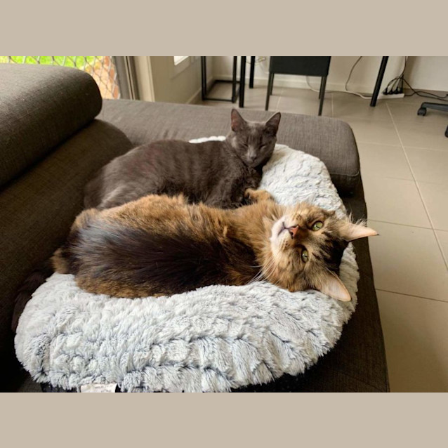 Photo of Geronimo & Koby ❤❤