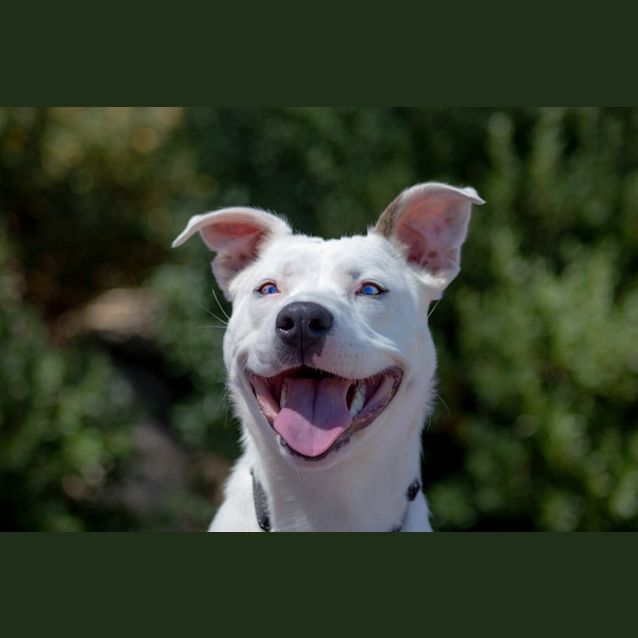 Photo of Sasha