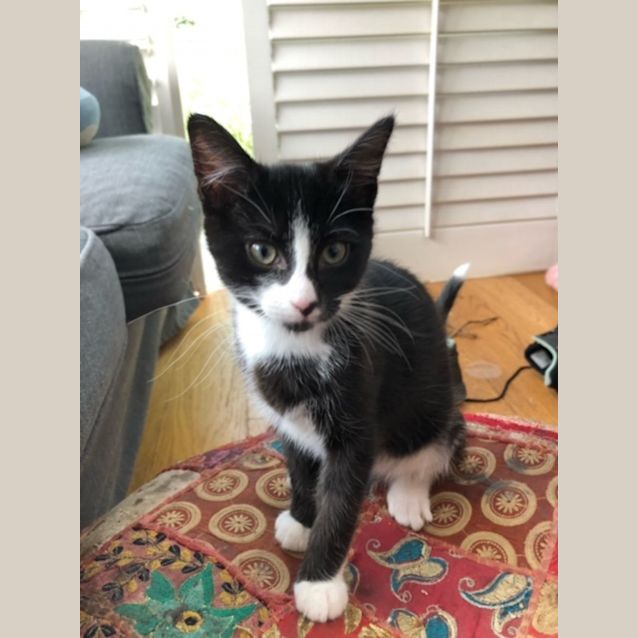 Photo of Gary And Olive 