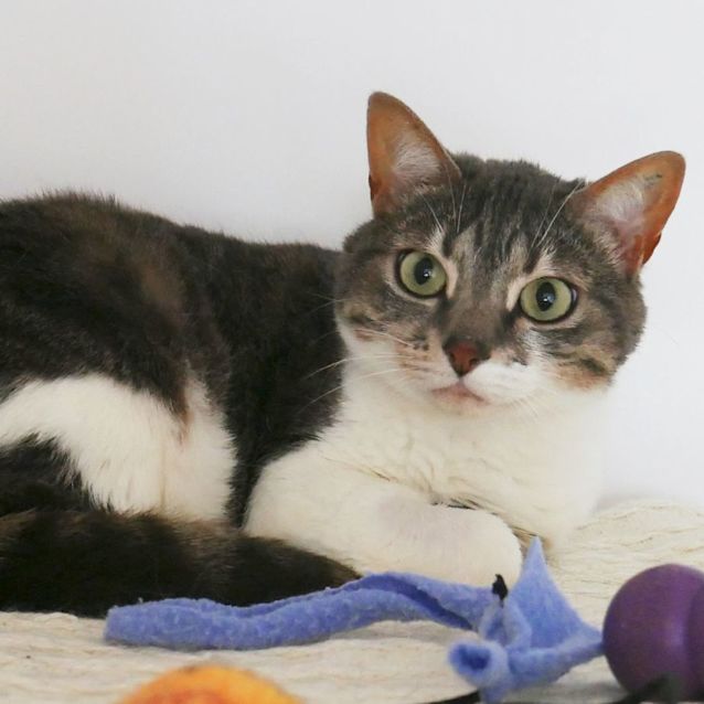 Photo of June Sua008998