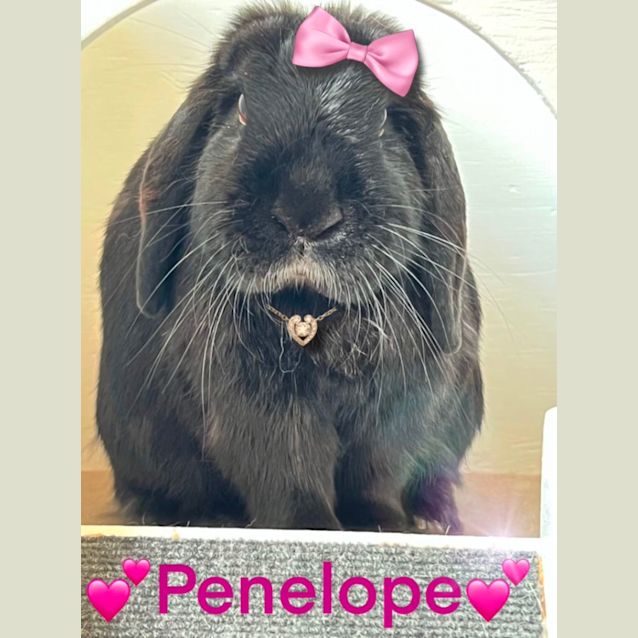 Photo of Penelope Pinkenbun