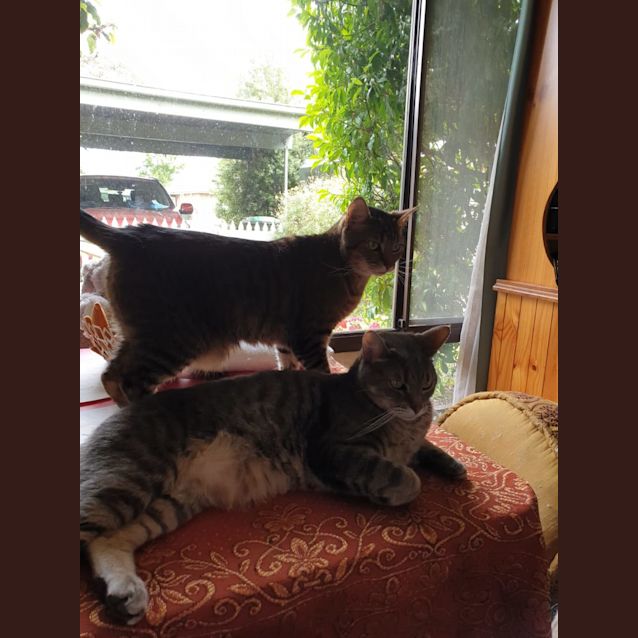 Photo of George And Michael