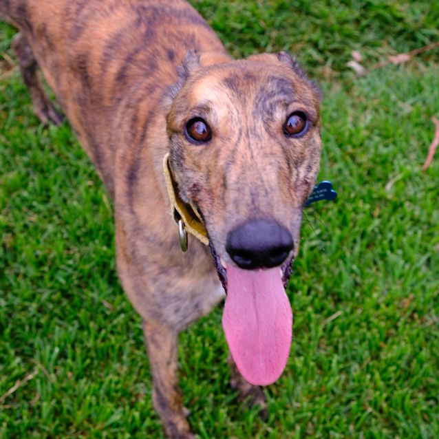 Photo of Mr Sprinkle