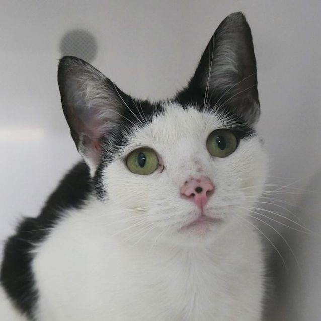 Photo of Mum Sua009203