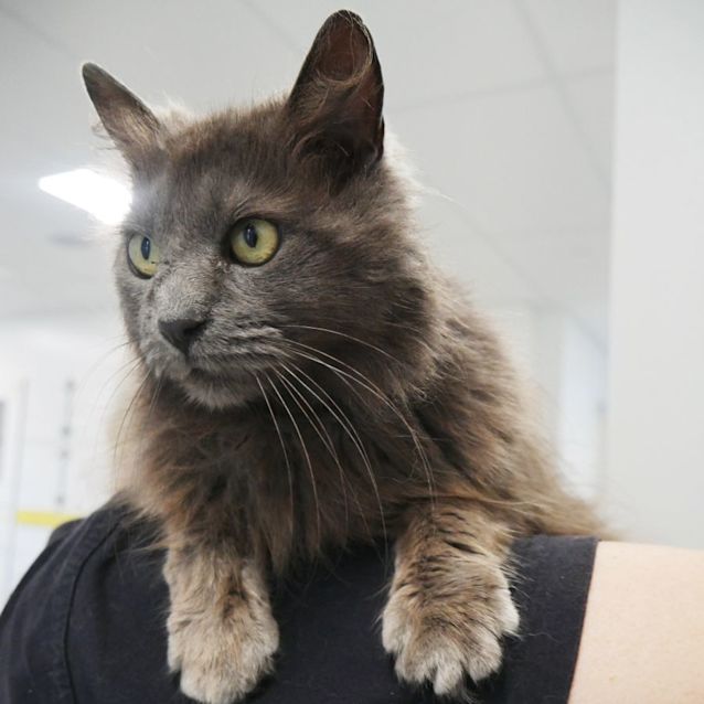 Photo of Estella Sta009128