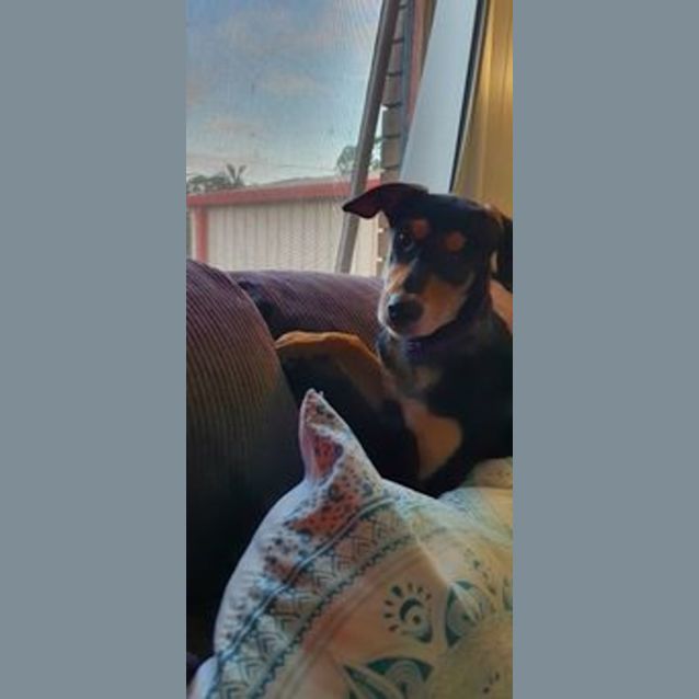 Photo of Minnie