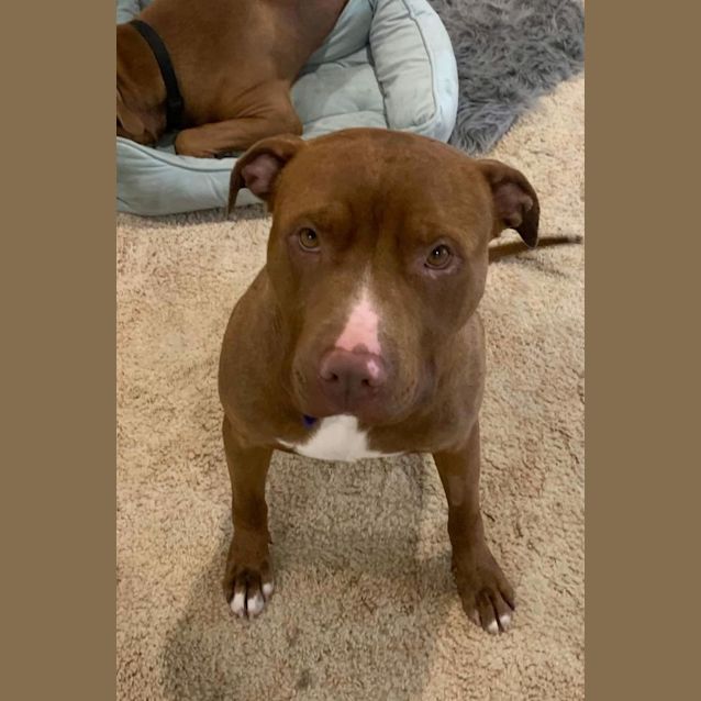 Photo of Hooch