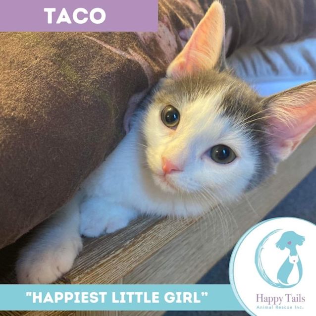 Photo of Taco