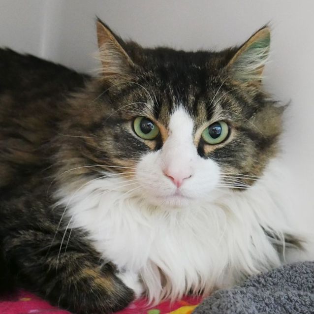 Photo of Arlo Sua009200