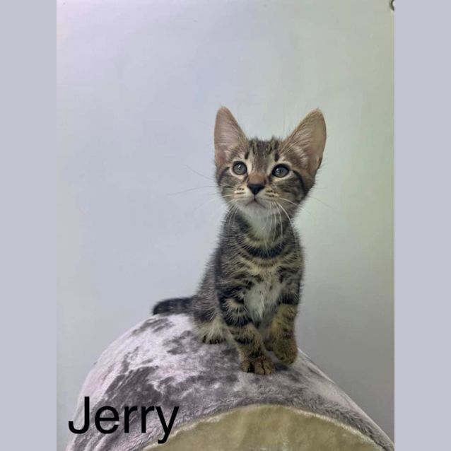 Photo of Jerry