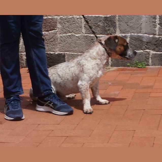 Photo of Mr Hank