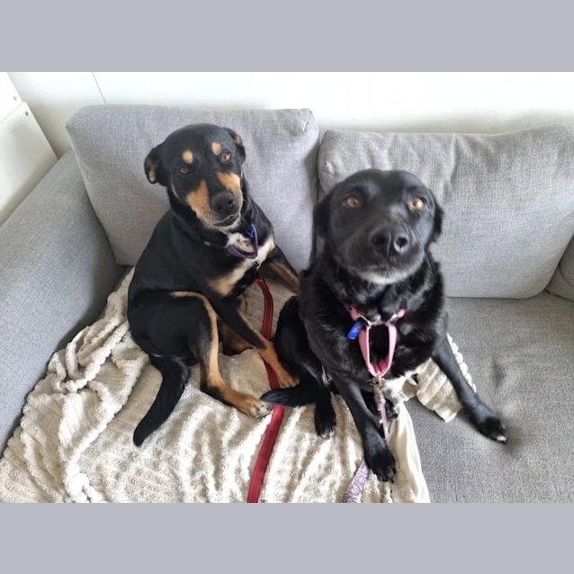 Photo of Tori & Ellie   Life Is Better Shared