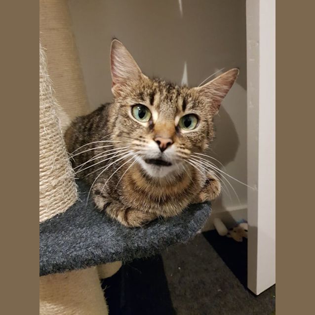 Photo of Molly