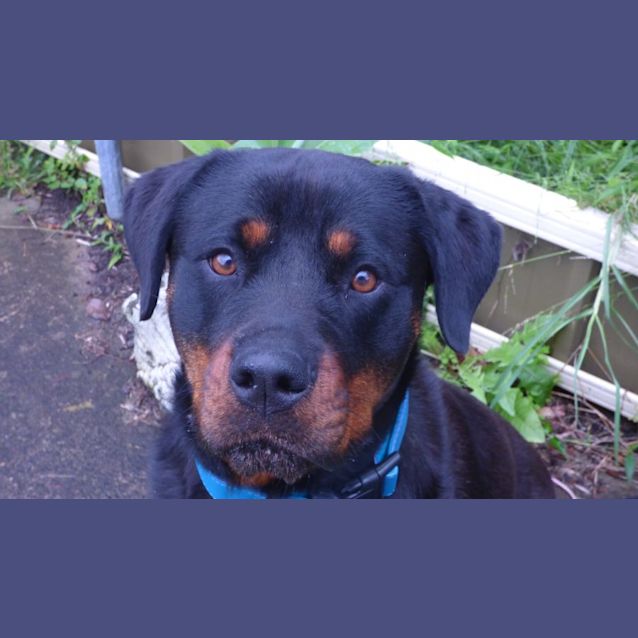 Photo of Delta Is On Trial