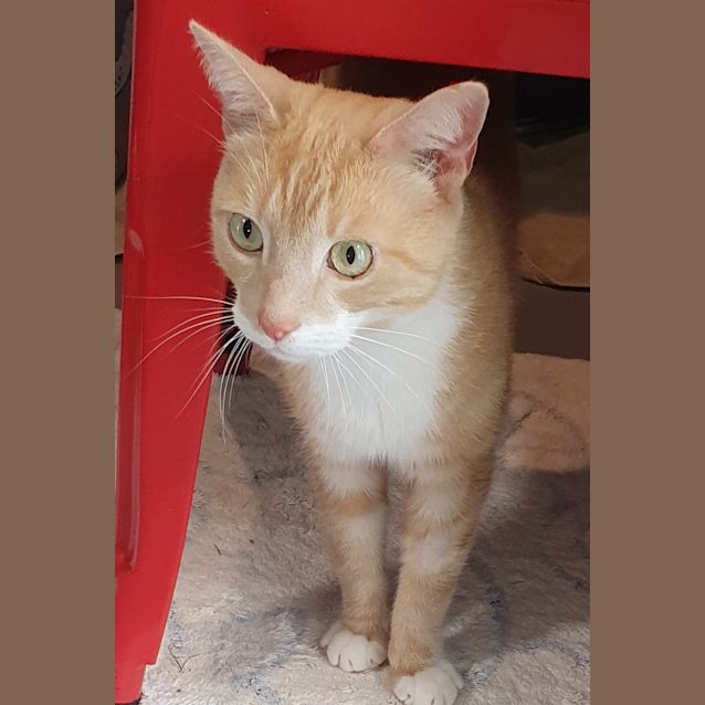 Photo of Charlie