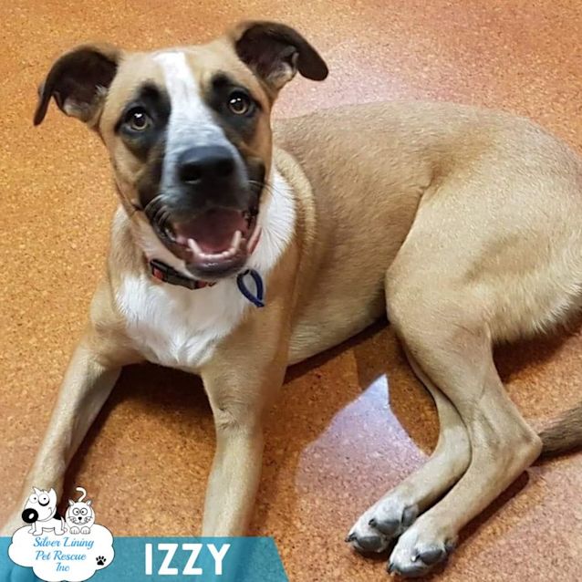 Photo of Izzy