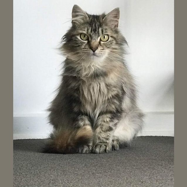 Photo of Wendy