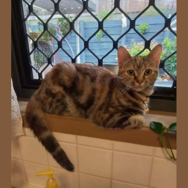 Photo of Tabitha 