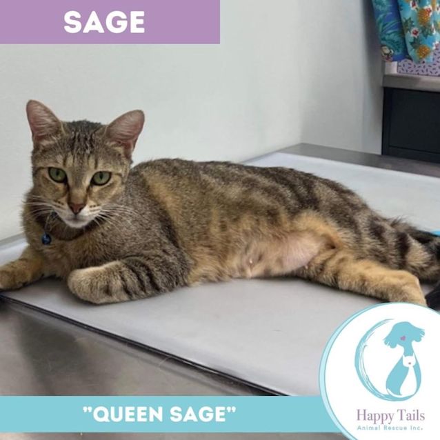 Photo of Sage