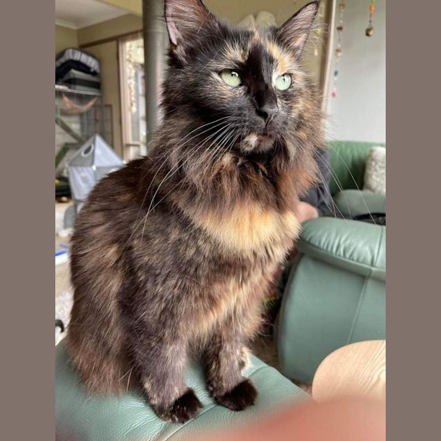 Photo of Nellie Furtado 