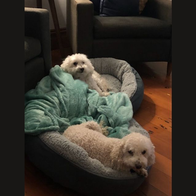 Photo of Molly & Tasha