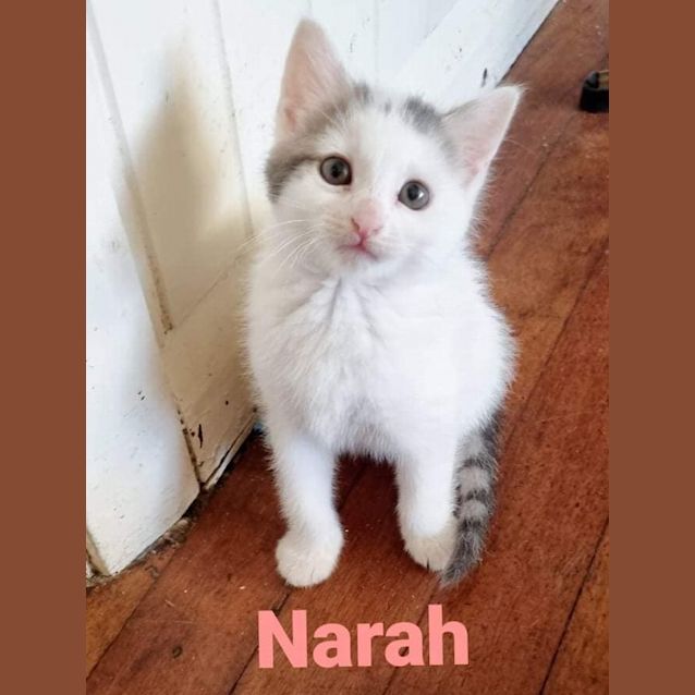 Photo of Narah