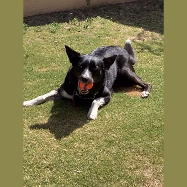 Photo of Maisie Dl2657