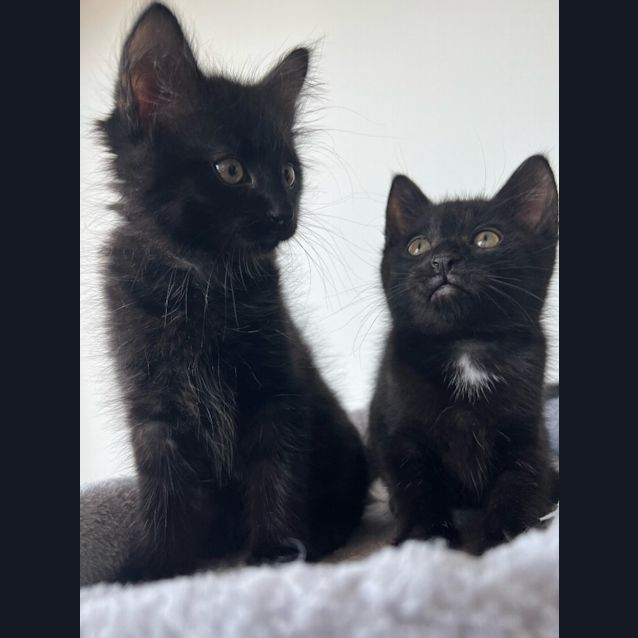 Photo of Atticus Finch And Boo Radley