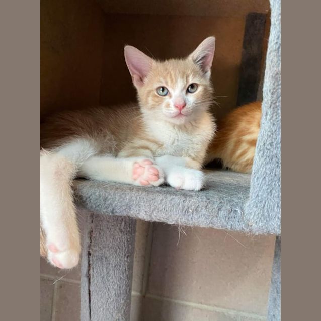 Photo of Fred  Located In Endeavour Hills
