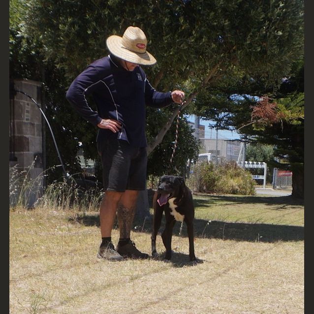 Photo of Colin