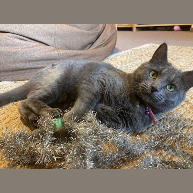 Photo of Matilda