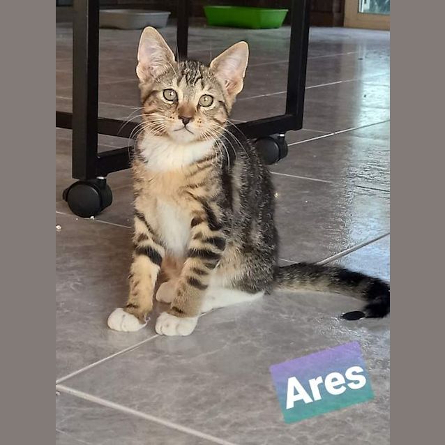 Photo of Ares
