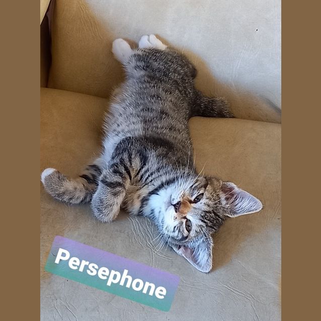 Photo of Persephone