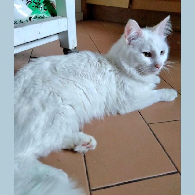 Photo of Claudius