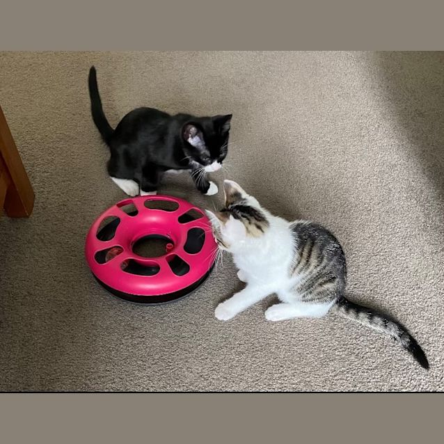 Photo of Billy And Reggie