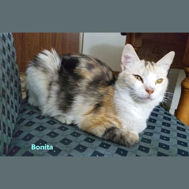 Photo of Bonita