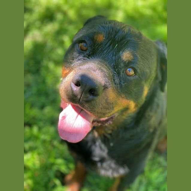 Photo of Ted
