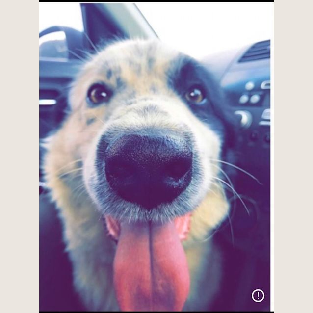 Photo of Ernie