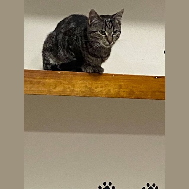 Photo of Waneeta